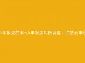 自家用小车多少年报废的啊-小车报废年限调查:你的爱车还能行驶多久?