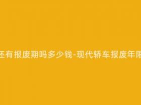 现在的轿车还有报废期吗多少钱-现代轿车报废年限与价格整理