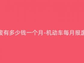 机动车报废有多少钱一个月-机动车每月报废费用揭秘