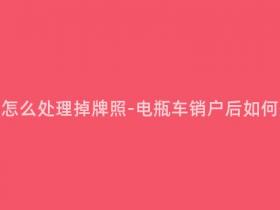 电瓶车销户怎么处理掉牌照-电瓶车销户后如何处理牌照?
