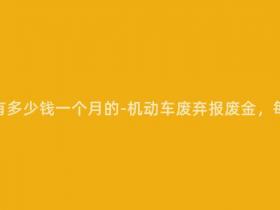 机动车报废有多少钱一个月的-机动车废弃报废金,每月多少钱?