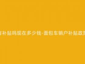 面包车销户有补贴吗现在多少钱-面包车销户补贴政策及最新标准
