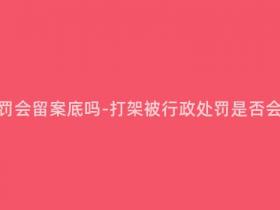 打架行政处罚会留案底吗-打架被行政处罚是否会留下记录?