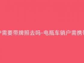 电瓶车销户需要带牌照去吗-电瓶车销户需携带牌照吗?