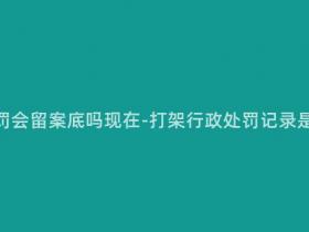 打架行政处罚会留案底吗现在-打架行政处罚记录是否会留存?