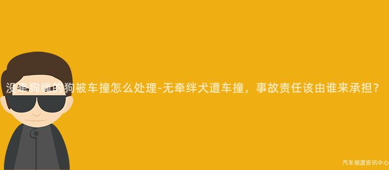 没牵狗绳的狗被车撞怎么处理-无牵绊犬遭车撞，事故责任该由谁来承担？