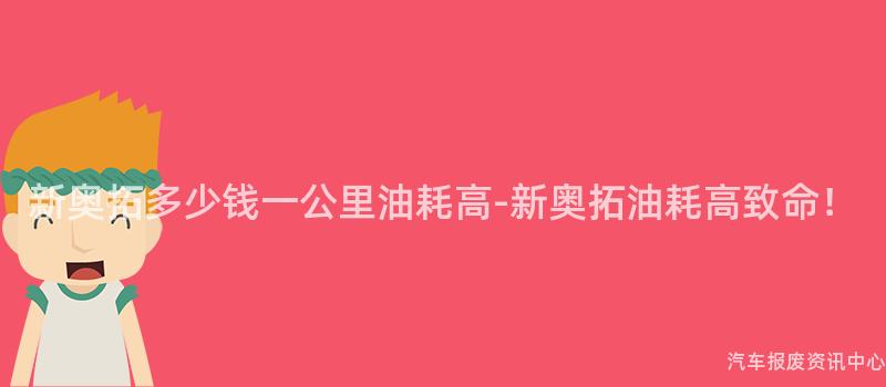 新奥拓多少钱一公里油耗高-新奥拓油耗高致命！