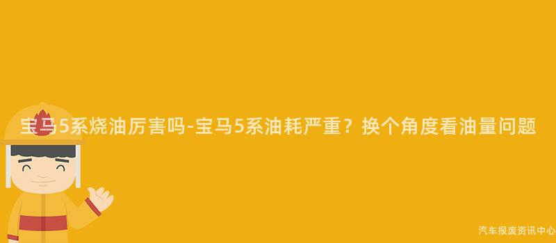 宝马5系烧油厉害吗-宝马5系油耗严重？换个角度看油量问题