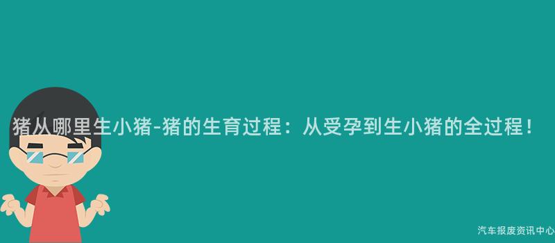 猪从哪里生小猪-猪的生育过程：从受孕到生小猪的全过程！