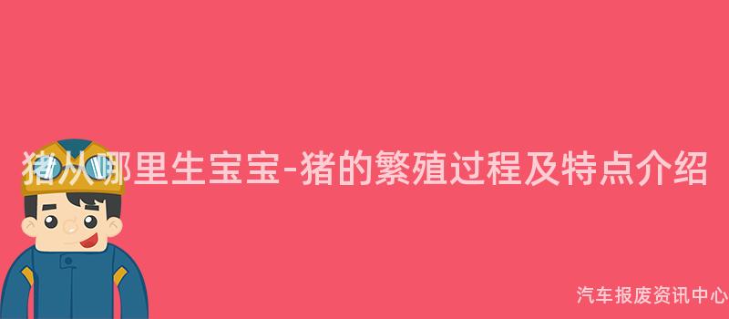 猪从哪里生宝宝-猪的繁殖过程及特点介绍