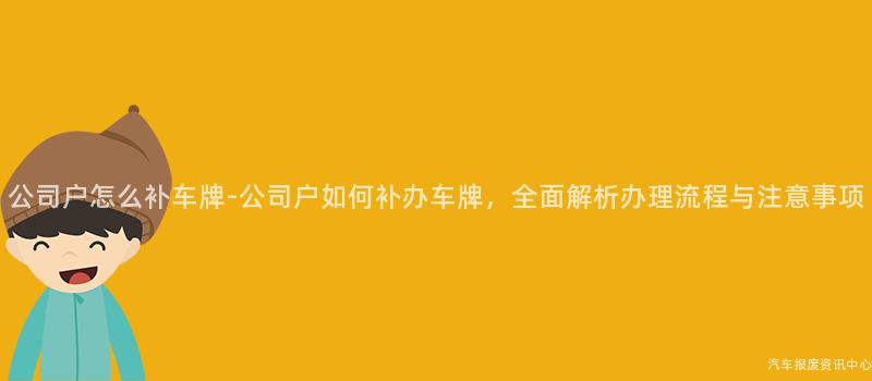 公司户怎么补车牌-公司户如何补办车牌，全面解析办理流程与注意事项