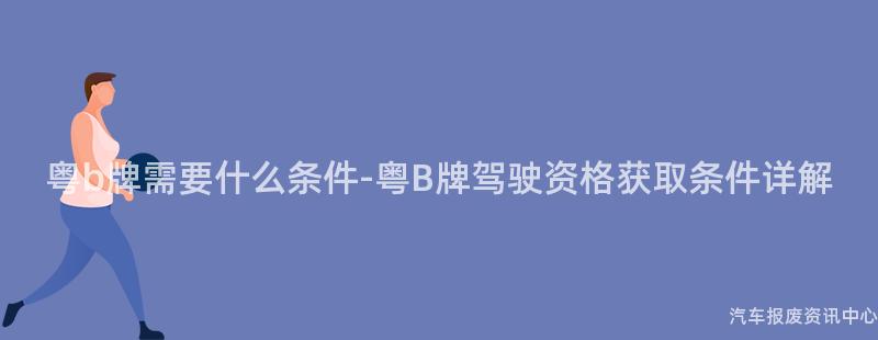 粤b牌需要什么条件-粤B牌驾驶资格获取条件详解