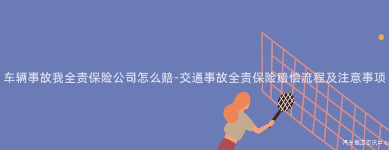 车辆事故我全责保险公司怎么赔-交通事故全责保险赔偿流程及注意事项