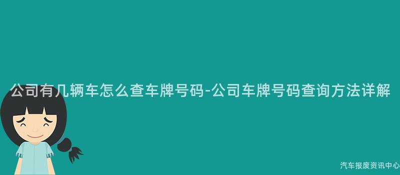 公司有几辆车怎么查车牌号码-公司车牌号码查询方法详解