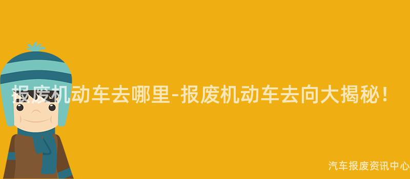 报废机动车去哪里-报废机动车去向大揭秘！