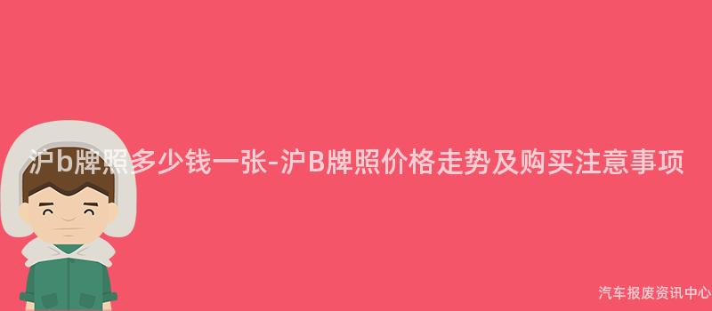 沪b牌照多少钱一张-沪B牌照价格走势及购买注意事项