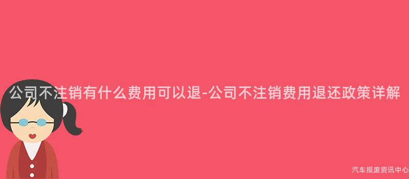 公司不注销有什么费用可以退-公司不注销费用退还政策详解