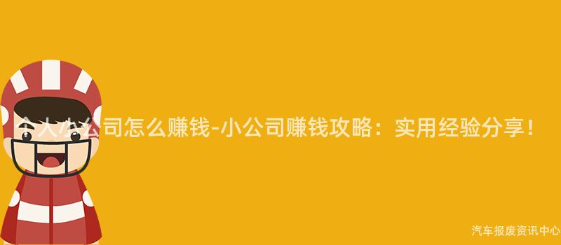 个人小公司怎么赚钱-小公司赚钱攻略：实用经验分享！