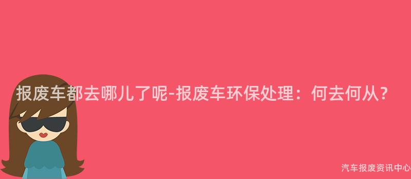 报废车都去哪儿了呢-报废车环保处理：何去何从？