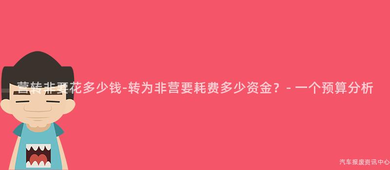 营转非要花多少钱-转为非营要耗费多少资金？- 一个预算分析