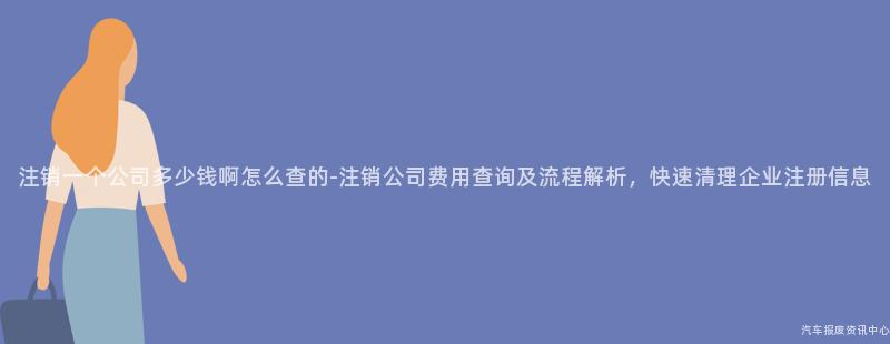 注销一个公司多少钱啊怎么查的-注销公司费用查询及流程解析，快速清理企业注册信息