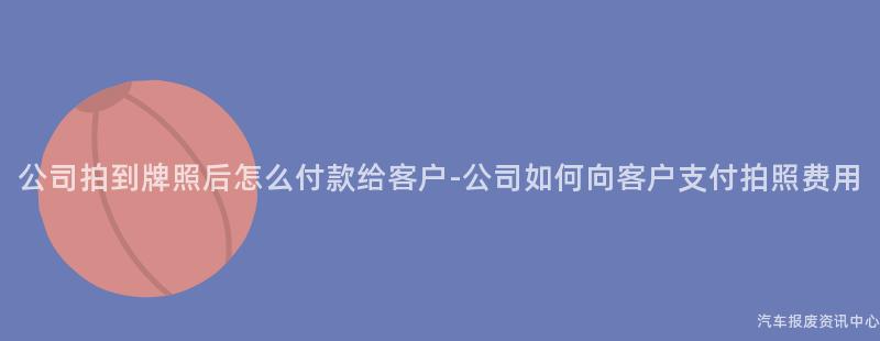 公司拍到牌照后怎么付款给客户-公司如何向客户支付拍照费用
