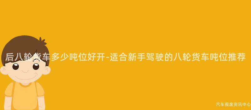 后八轮货车多少吨位好开-适合新手驾驶的八轮货车吨位推荐