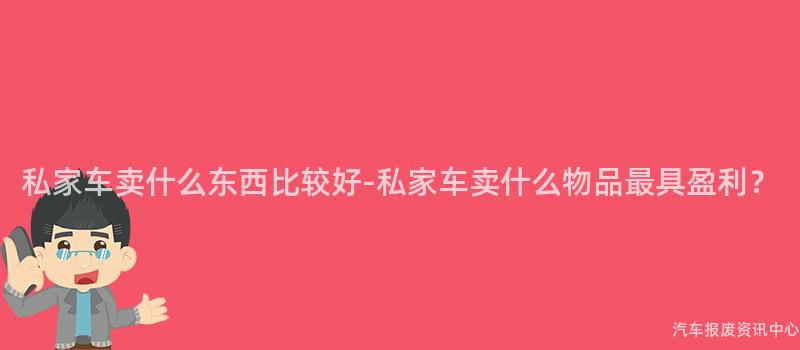 私家车卖什么东西比较好-私家车卖什么物品最具盈利？