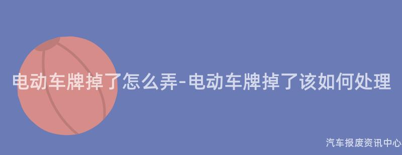 电动车牌掉了怎么弄-电动车牌掉了该如何处理