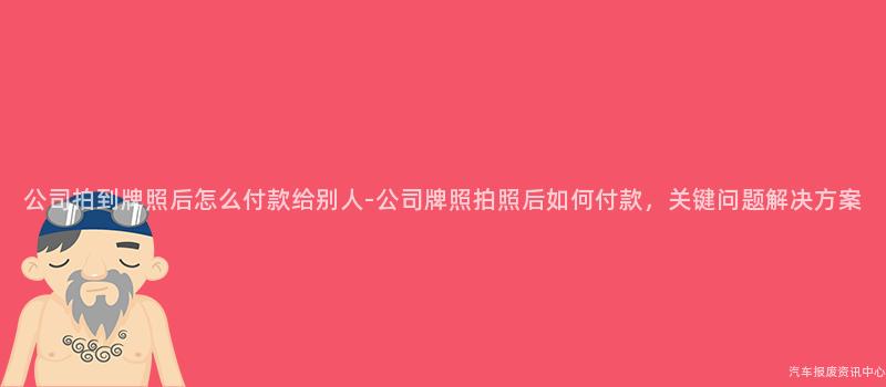 公司拍到牌照后怎么付款给别人-公司牌照拍照后如何付款，关键问题解决方案