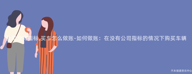 公司没有指标,买车怎么做账-如何做账：在没有公司指标的情况下购买车辆