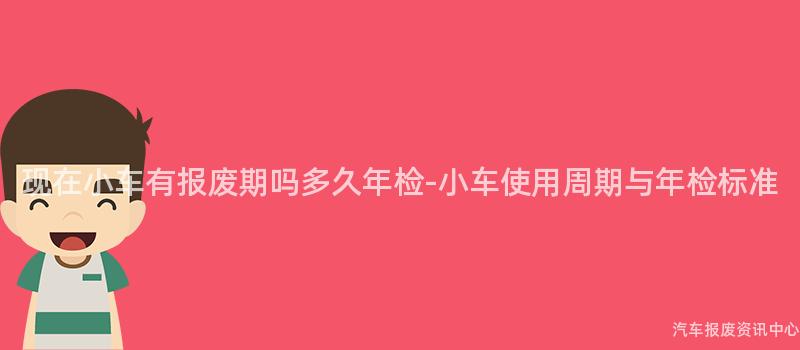 现在小车有报废期吗多久年检-小车使用周期与年检标准
