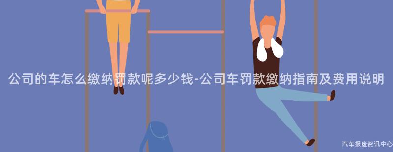 公司的车怎么缴纳罚款呢多少钱-公司车罚款缴纳指南及费用说明